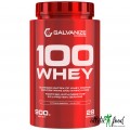 Galvanize Nutrition 100 Whey - 900 грамм